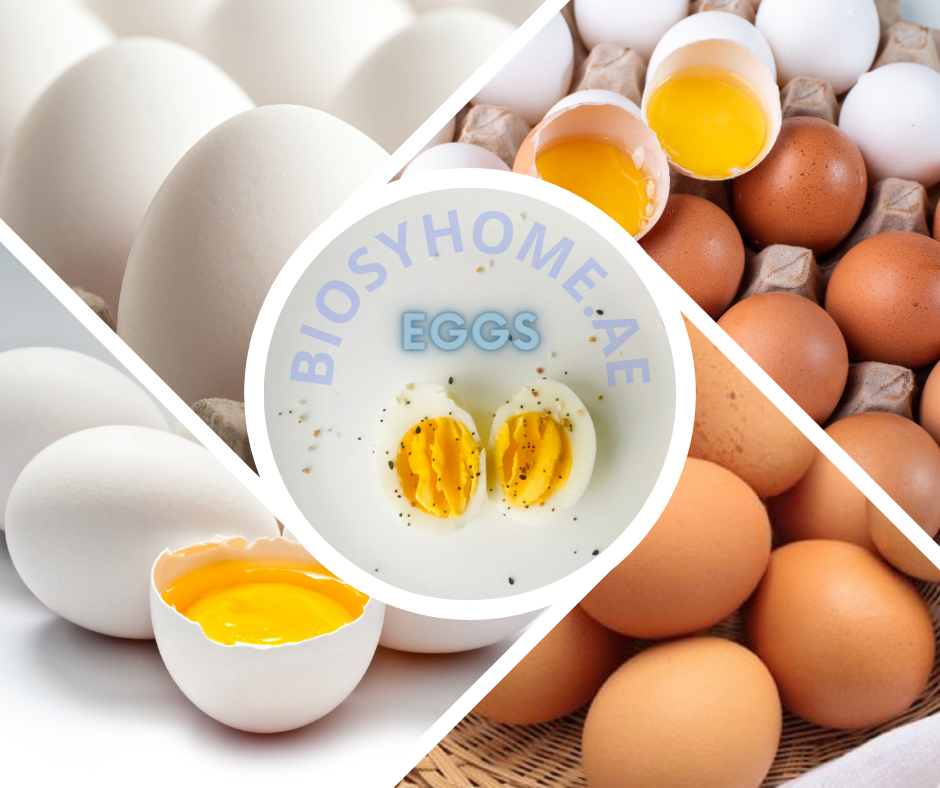 eggs wholesale dubai uae